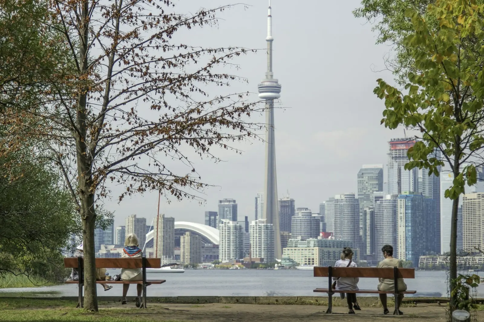 Illustrative imagery for Toronto